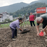 汝城县:积分菜园添新绿 下杨村冬种备菜忙