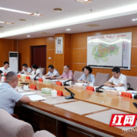 三个大抓开新局 攻坚突围奋力拼⑬丨程蓓调研邵阳经开区“大抓发展、大抓产业、大抓项目”工作
