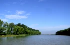 沅江：“水窝子”里的“电子哨兵”