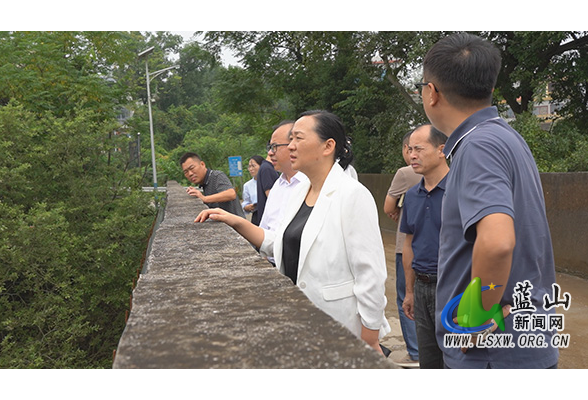 蓝山：邓群到土市镇调研生态环境保护工作
