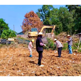 “和美乡村”建设提速 岳塘区双马街道8个屋场启动施工