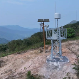 蓝山:科技赋能精准监测 守护候鸟南迁通道