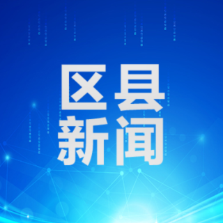珠晖区：帮代办“朋友圈”扩容 企业办事从“能办”迈向“好办”