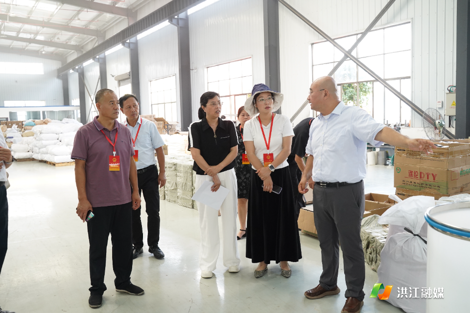 怀化市人大代表洪江市代表小组开展主题活动