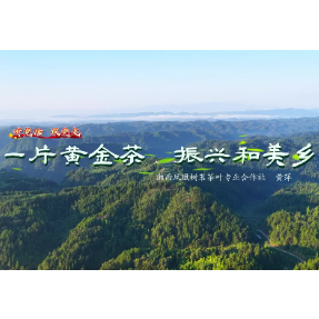 黄萍：一片黄金茶 振兴和美乡