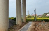 衡阳：依法拆除违规架设电缆 筑牢道路安全防线