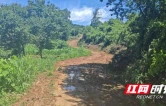 保靖县：抓实高标准农田管护 筑牢农业生产根基