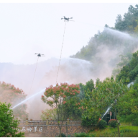 “全民防火 共护青山”——湖南省举办森林防火主题宣传活动