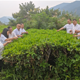 益阳市委党校（市行政学院）科级干部进修班学员走进六步溪保护区 探寻林下经济绿色富民新路径