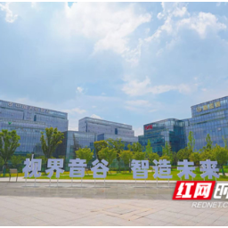 排头兵谈“兵法”|在长沙南城,听见“视界音谷”拔节生长