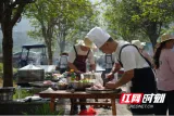 宜章县：“村厨”大赛庆丰收