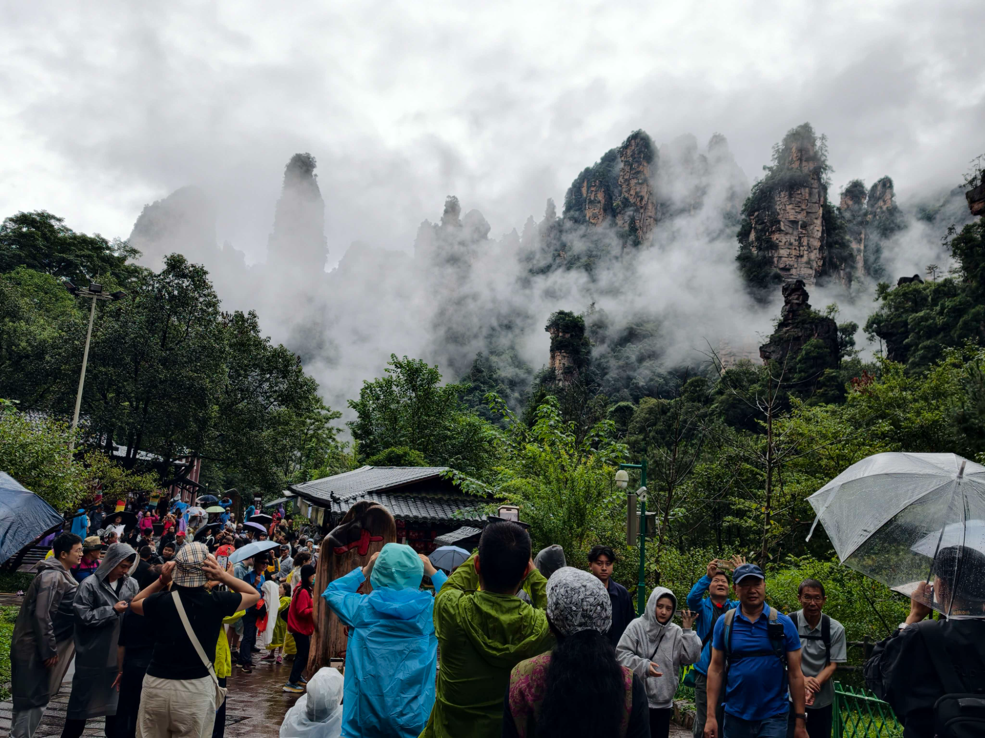 秋雨初歇，张家界十里画廊云海仙境迎客来