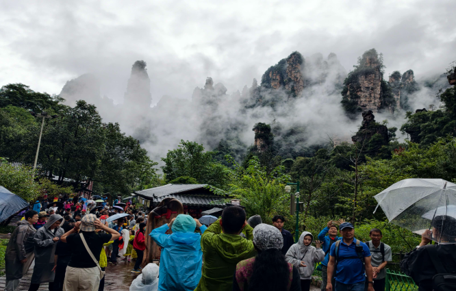 秋雨初歇，张家界十里画廊云海仙境迎客来