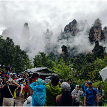 秋雨初歇,张家界十里画廊云海仙境迎客来