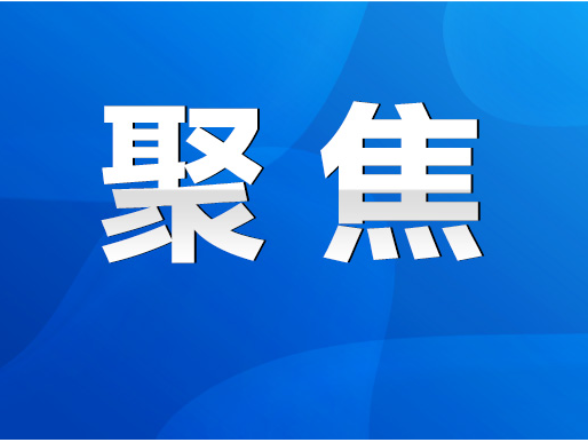 永州丨杨洪峰参加祁阳代表团讨论审议时强调：凝心聚力推动各项工作落地见效