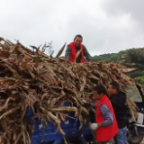 石门夹山：小屋场撬动大治理 微宣讲凝聚大合力