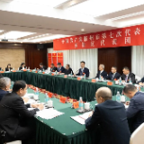 白云峰参加苏仙区代表团讨论 扛起主城担当  勇当发展先锋