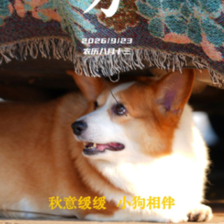 海报 | 秋分：一帧帧秋景，平分秋日温柔