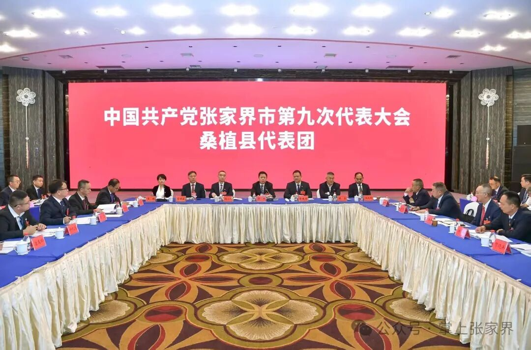 贺辉参加市第九次党代会桑植县代表团讨论