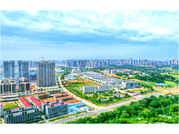 协商“益”起来 成果“实”下去——益阳市县市区政协深化协商民主品牌建设记事