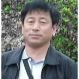 新大众写作丨陈蔚东:南岭秋色