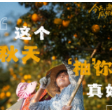 海报丨今天，邀你瓜分秋天