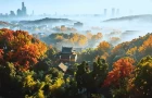 视频丨岳麓AI“潮”