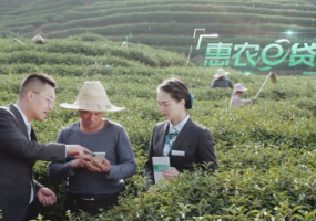 在永州，一渠金融活水“贷”出一片丰收喜景