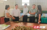 衡阳市衡东县代表团赴永顺县青坪镇调研对口帮扶工作