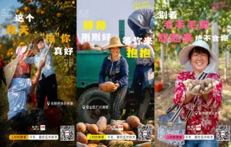 海报丨今天，邀你瓜分秋天