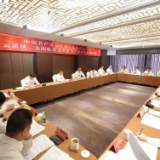 谢卫江参加云溪区、岳阳临港高新区代表团和岳阳楼区代表团讨论