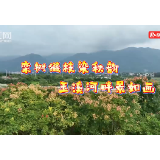 宜章县：栾树缀枝染秋韵 玉溪河畔景如画