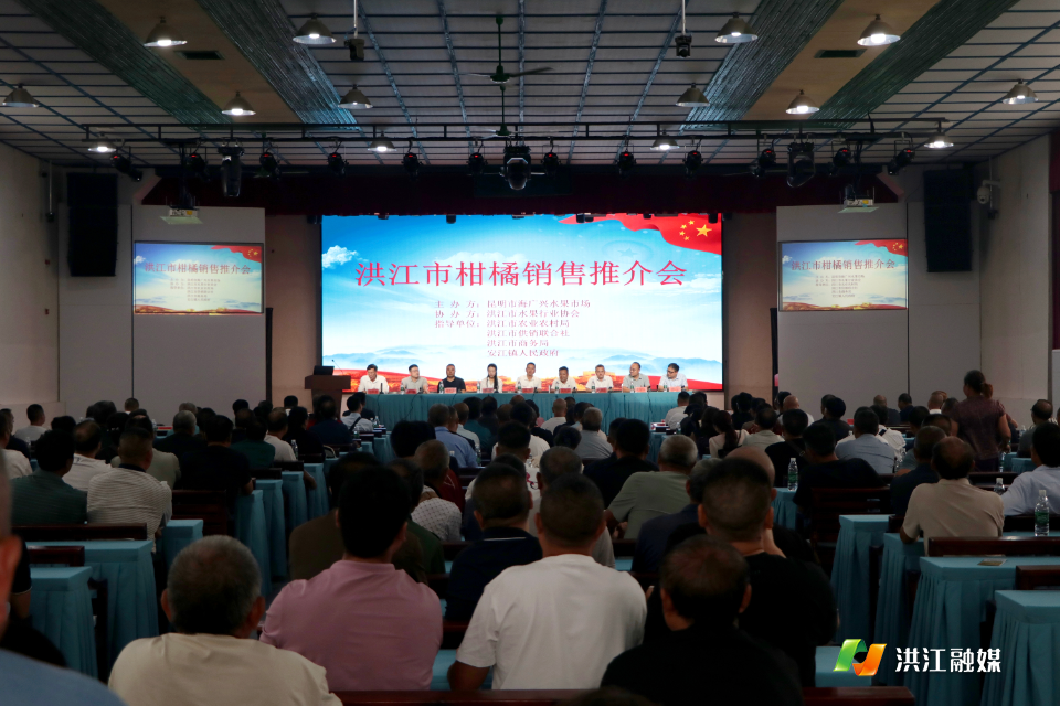 洪江市柑橘销售推介会成功举办 擦亮黔阳柑橘品牌 赋能乡村产业振兴