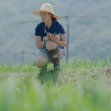 我的荣誉记忆｜我是雨 我要落在田野上