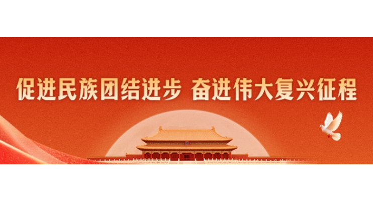 专栏 | 促进民族团结进步 奋进伟大复兴征程