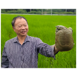 粮满仓 鳖戏水 临湘新农人张兵驹解锁丰收新范式