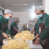 桂阳县：敖泉乌龙姜喜获国字号荣誉 特色产业迎来丰收季