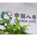 中国人寿专项旅游险即将暖心上线 破解高原出行痛点
