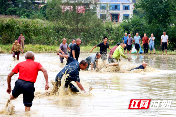 洞口：农民运动会欢庆丰收节