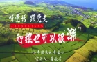 董敏芳：种粮，也可以很“潮”