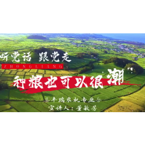 董敏芳：种粮，也可以很“潮”