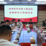 天元法院召开金融审判工作座谈会