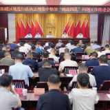 岳阳楼区规范涉企行政执法暨集中整治 “两违四乱”问题工作推进会召开