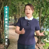 榕树下的烟火宜章：宜章人的中秋家味——芋荷鸭