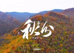 秋燥上线！这份秋日健康贴士请收好