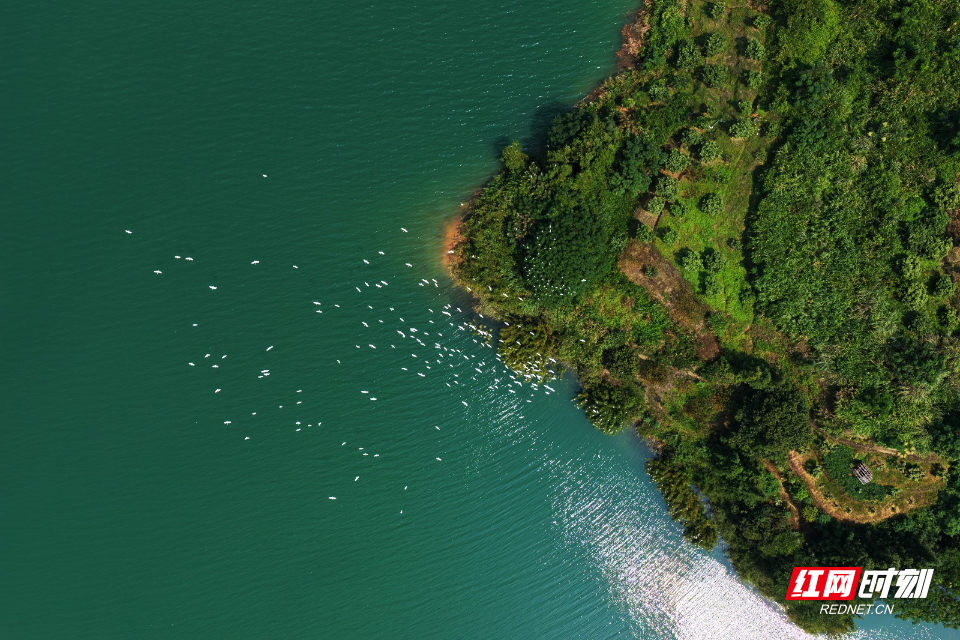 DJI_20260924115956_0161_D.jpg