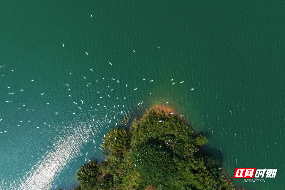 DJI_20260924120107_0187_D.jpg