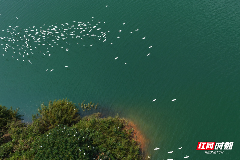 DJI_20260924120534_0239_D.jpg