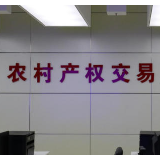 怀化农村产权交易“三个一”工程落地 农村“三资”运行迈入数字化新阶段