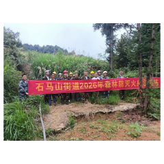 涟源石马山街道开展森林防火应急演练 筑牢生态安全屏障